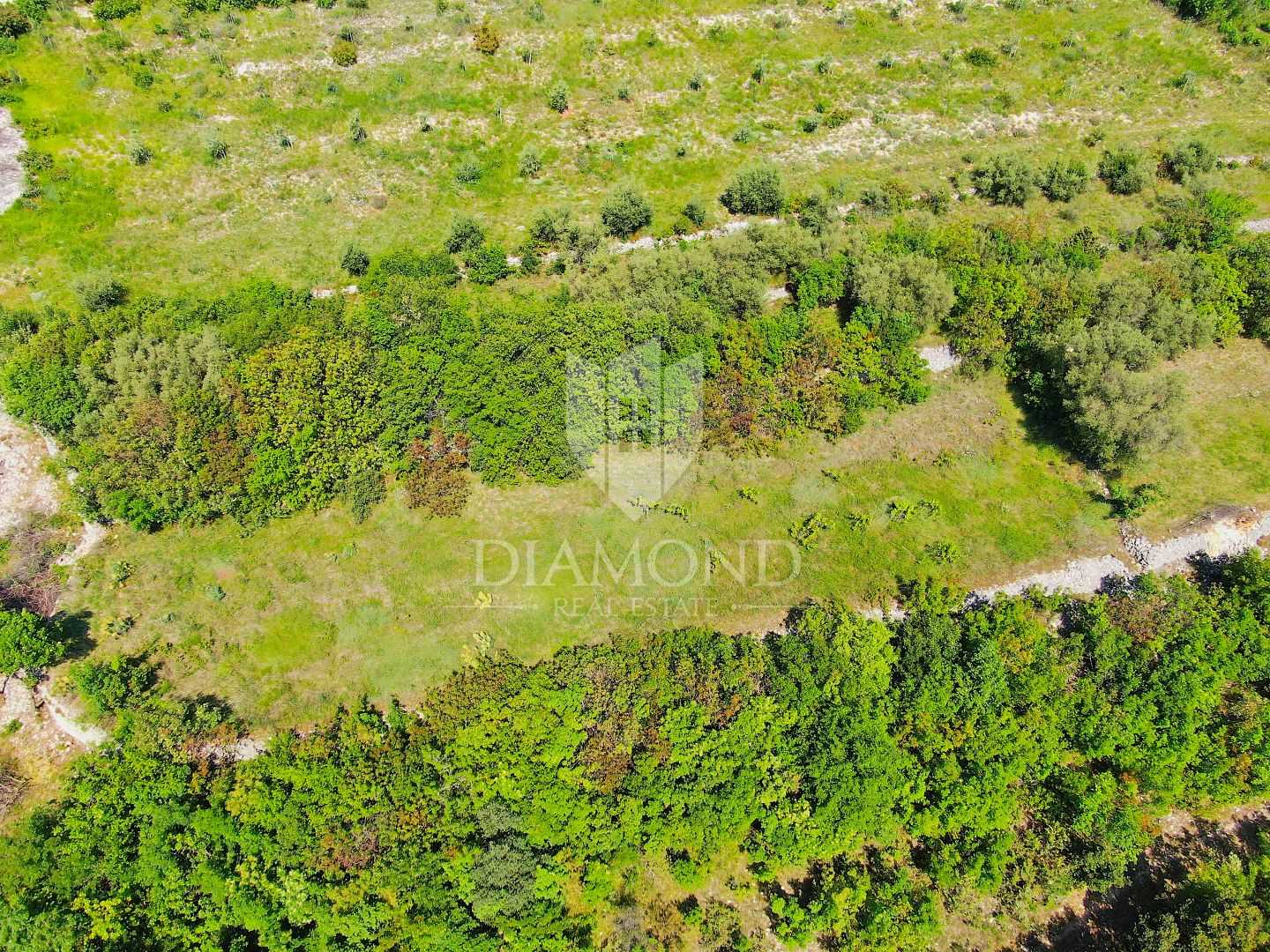 Land in Rabac, Istria County 11658213