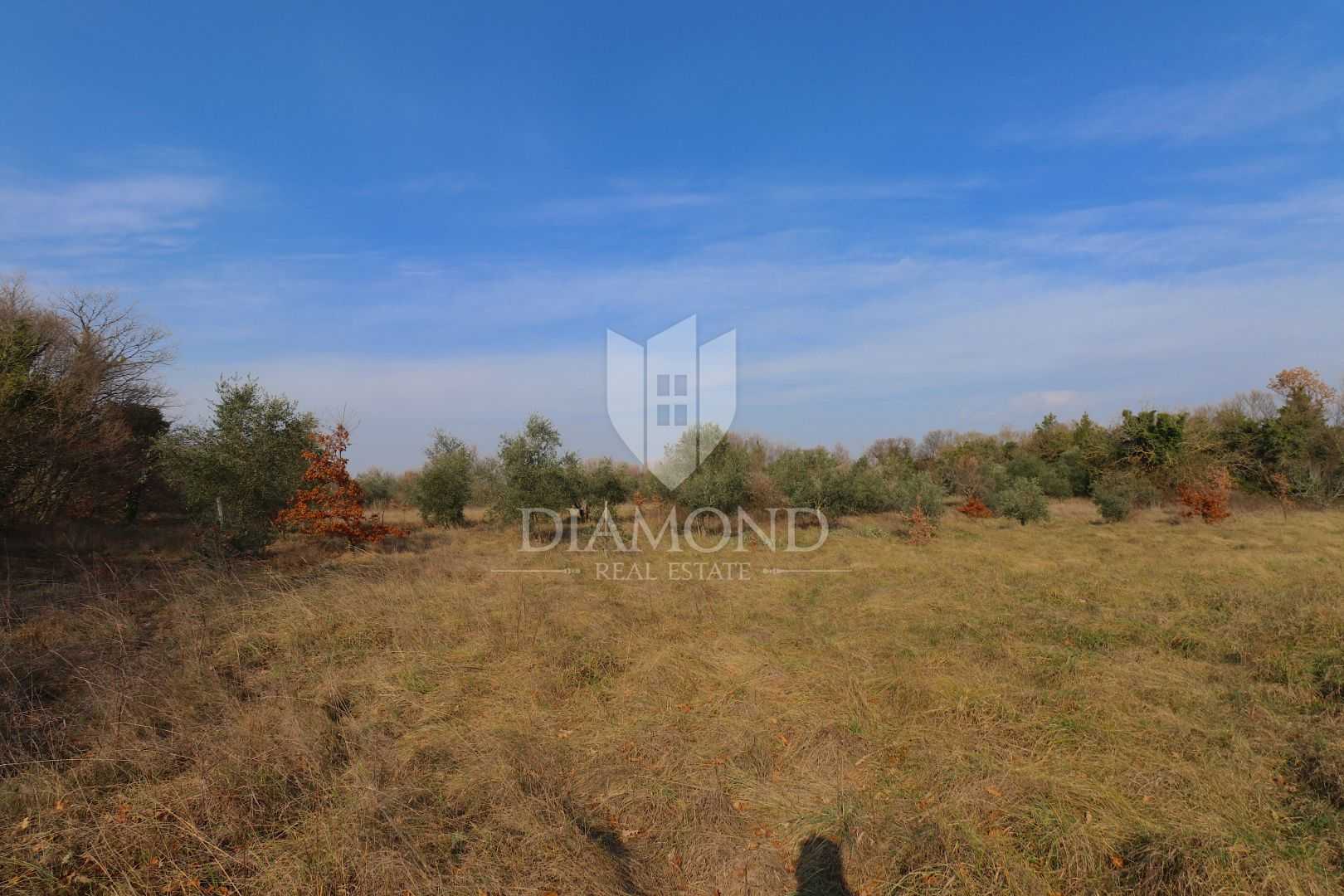 Land in Barban, Istria County 11658948