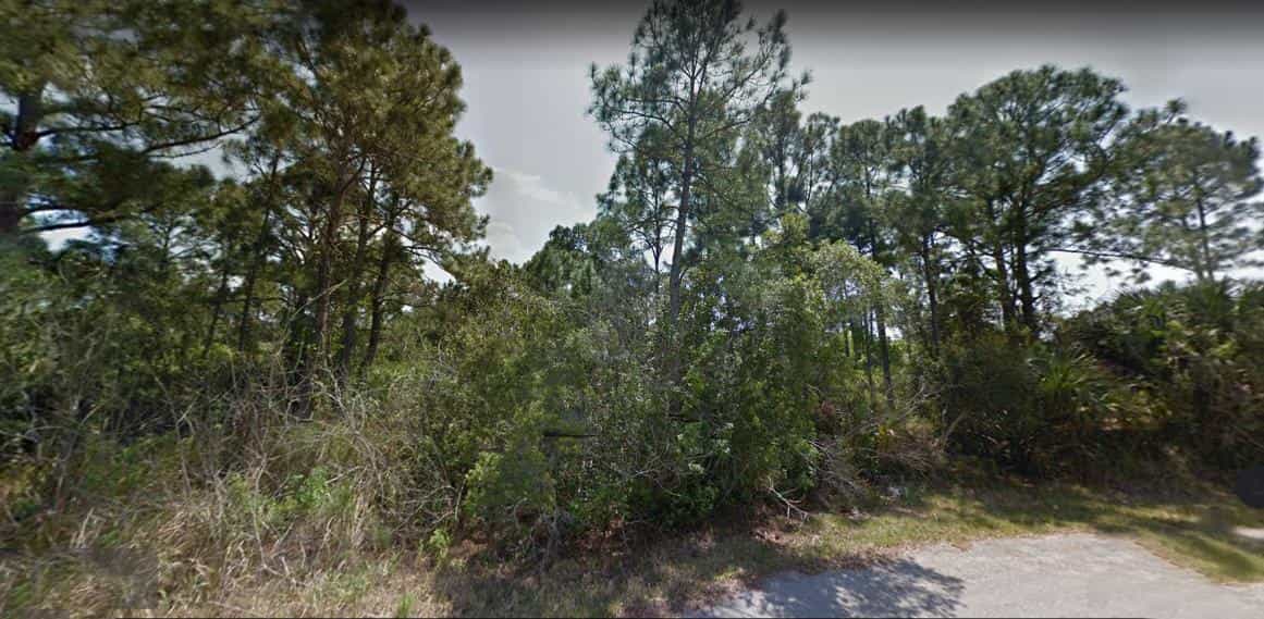 Land in Palmbaai, Florida 11659904