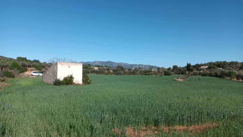 Jord i Ulldecona, Catalonien 11662259