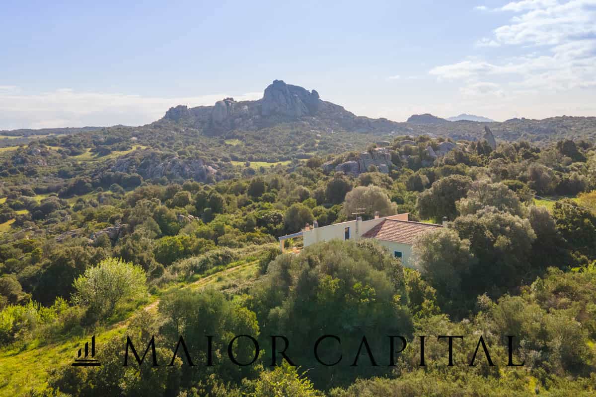 Land in Arzachena, Sardegna 11662728
