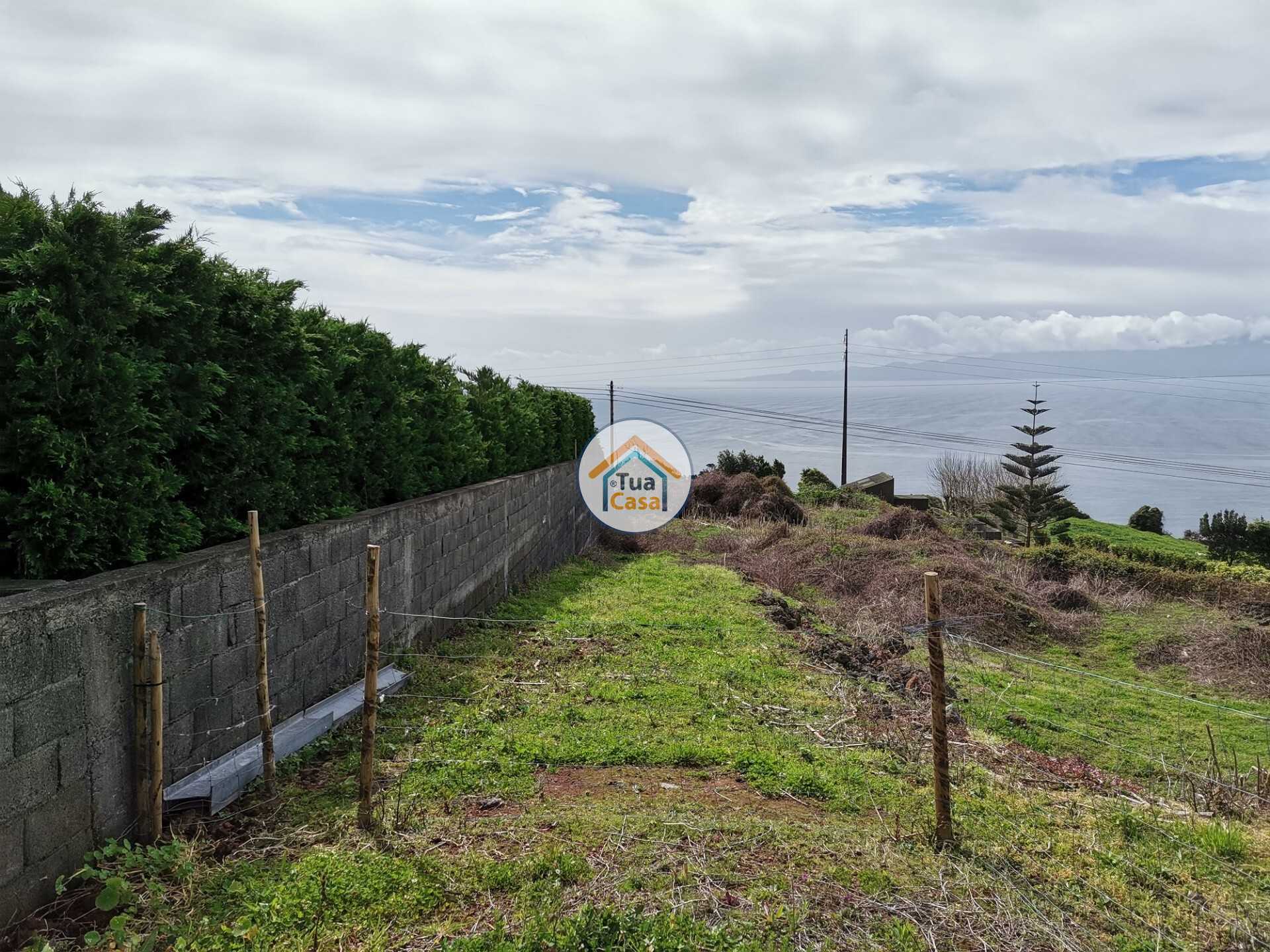 Tierra en Calheta, Azores 11662800