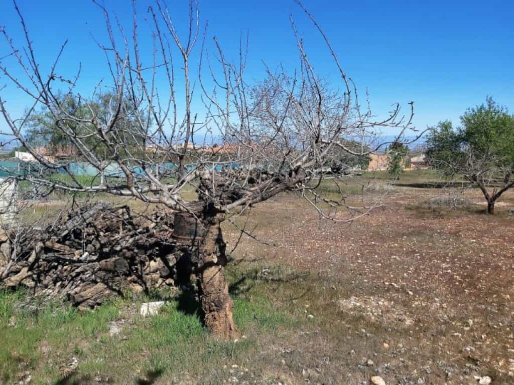 Land in Mancha Real, Andalucía 11669846