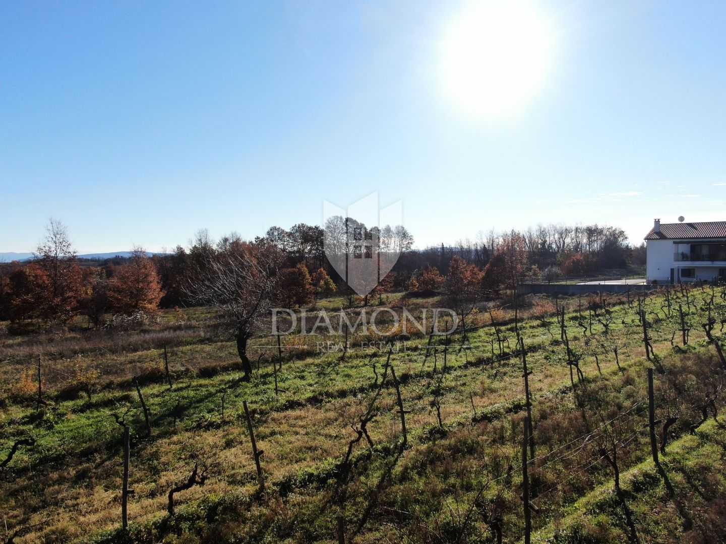 Land in Pićan, Istria County 11670543