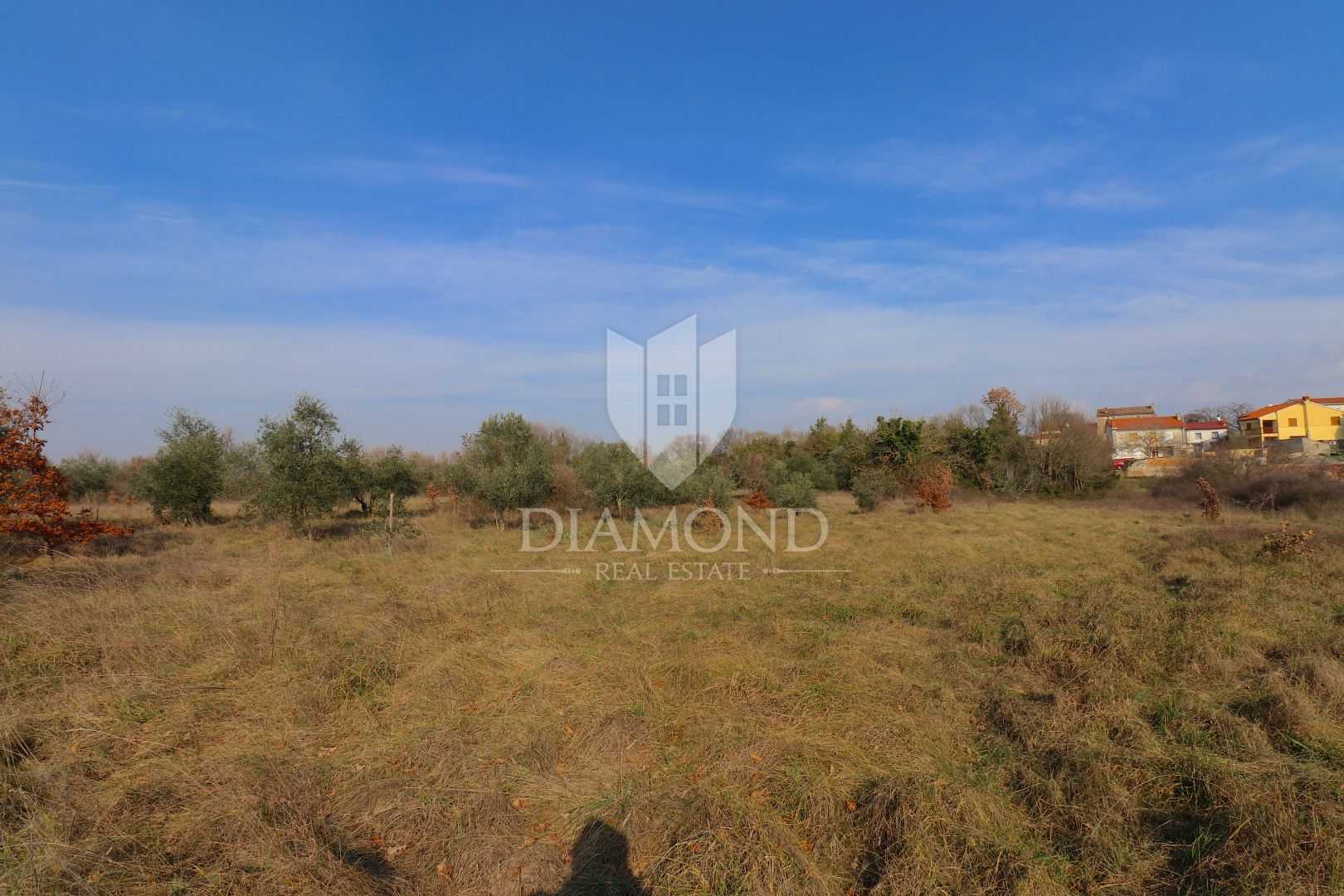 Land in Barban, Istria County 11684169