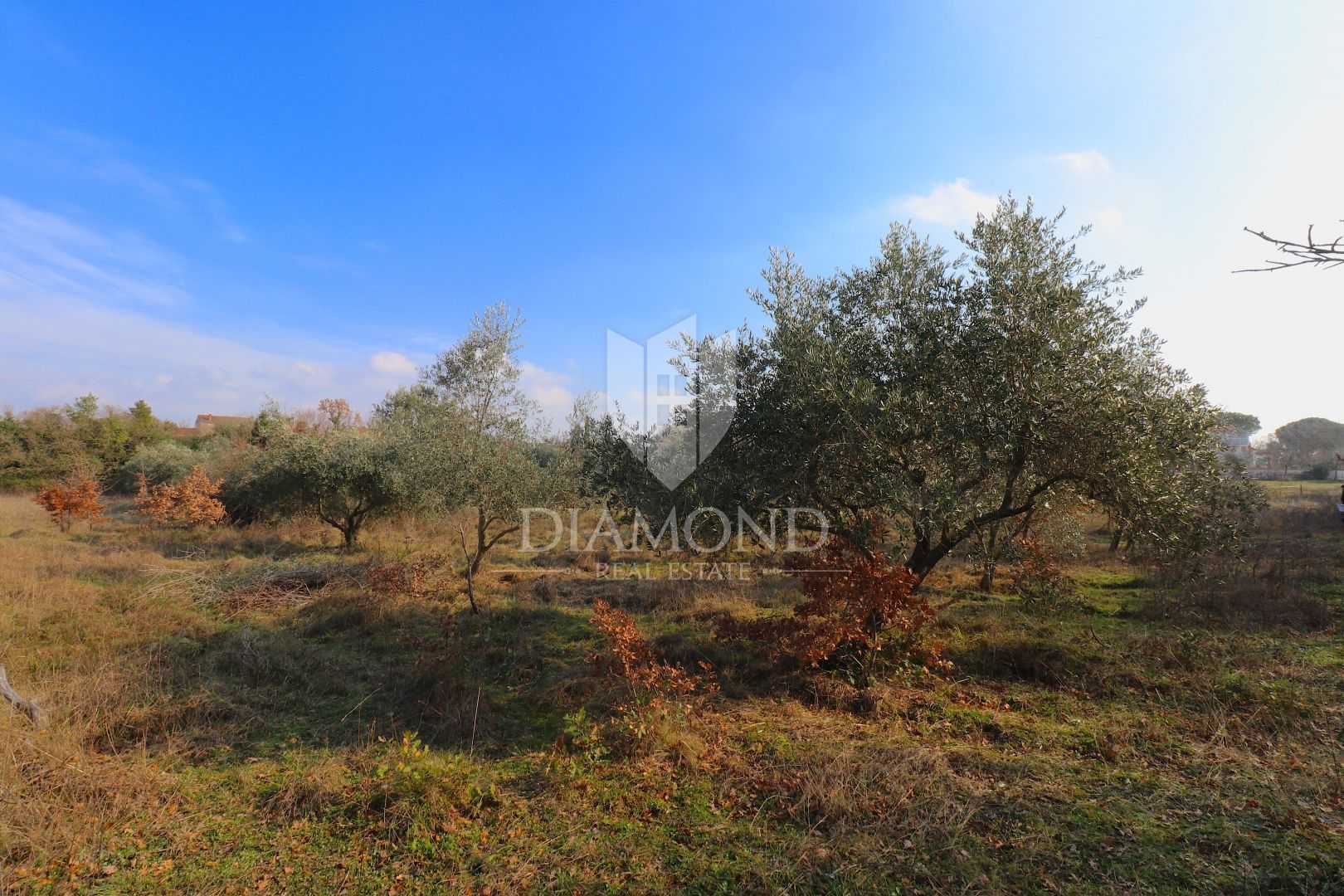 Land in Barban, Istria County 11684169