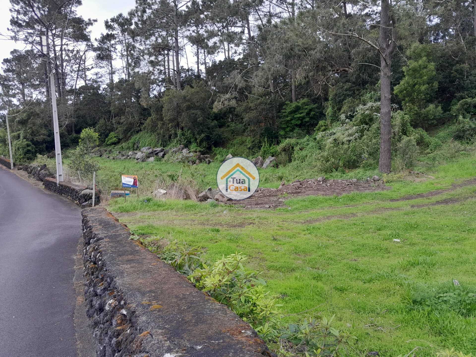 Tierra en Urzelina, Azores 11692042