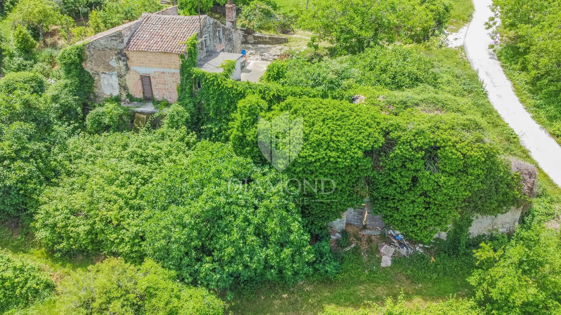 Land in Motovun, Istria County 11694687