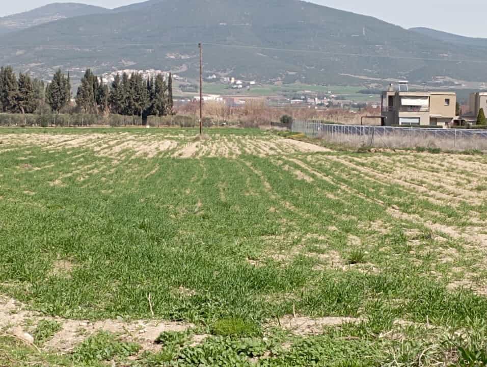 Terre dans Néa Raidestos, Kentriki Macédoine 11698650