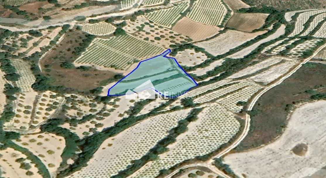 Tanah dalam Tala, Pafos 11698933