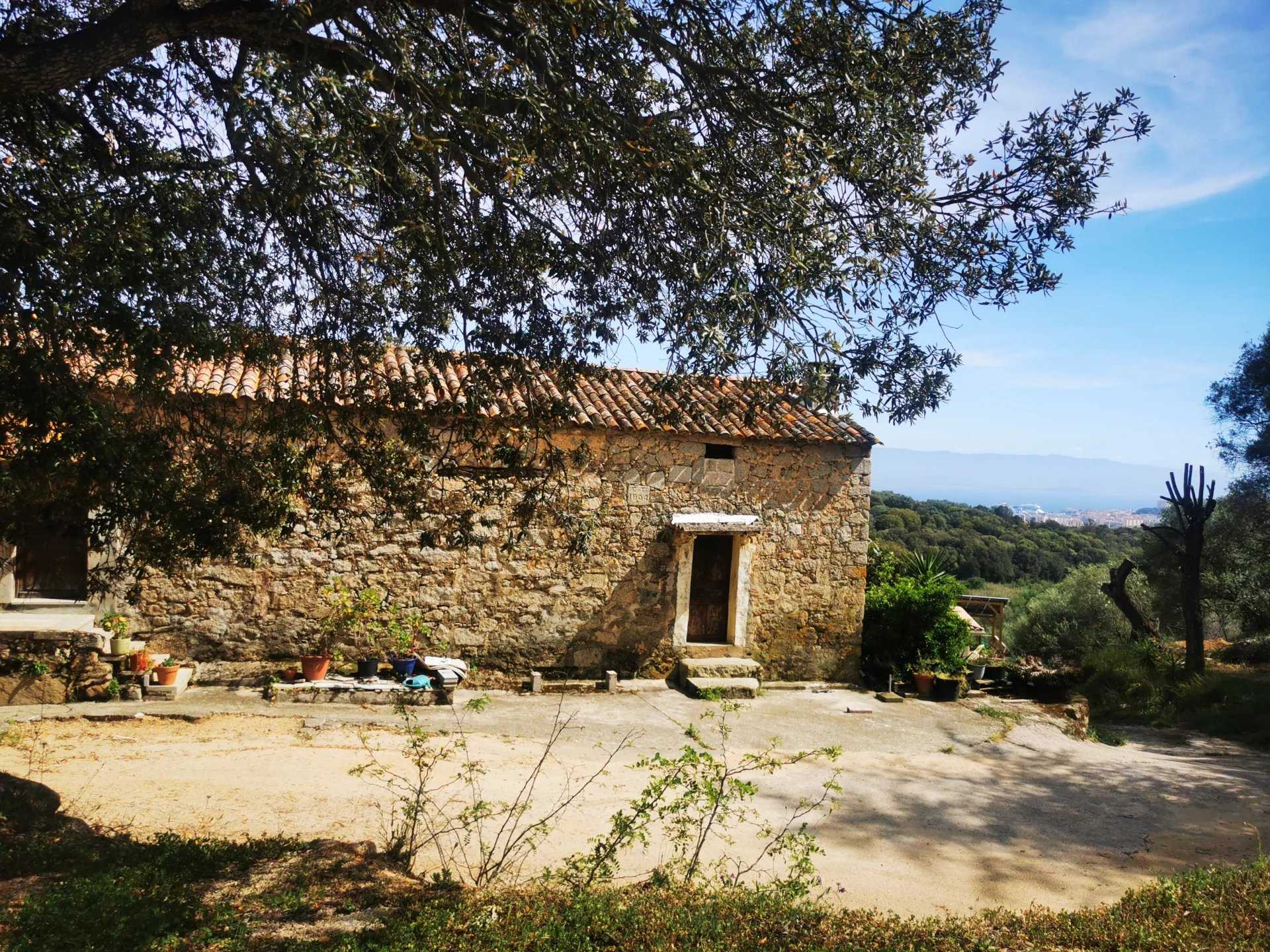 Dom w Ajaccio, Korsyka 11699435