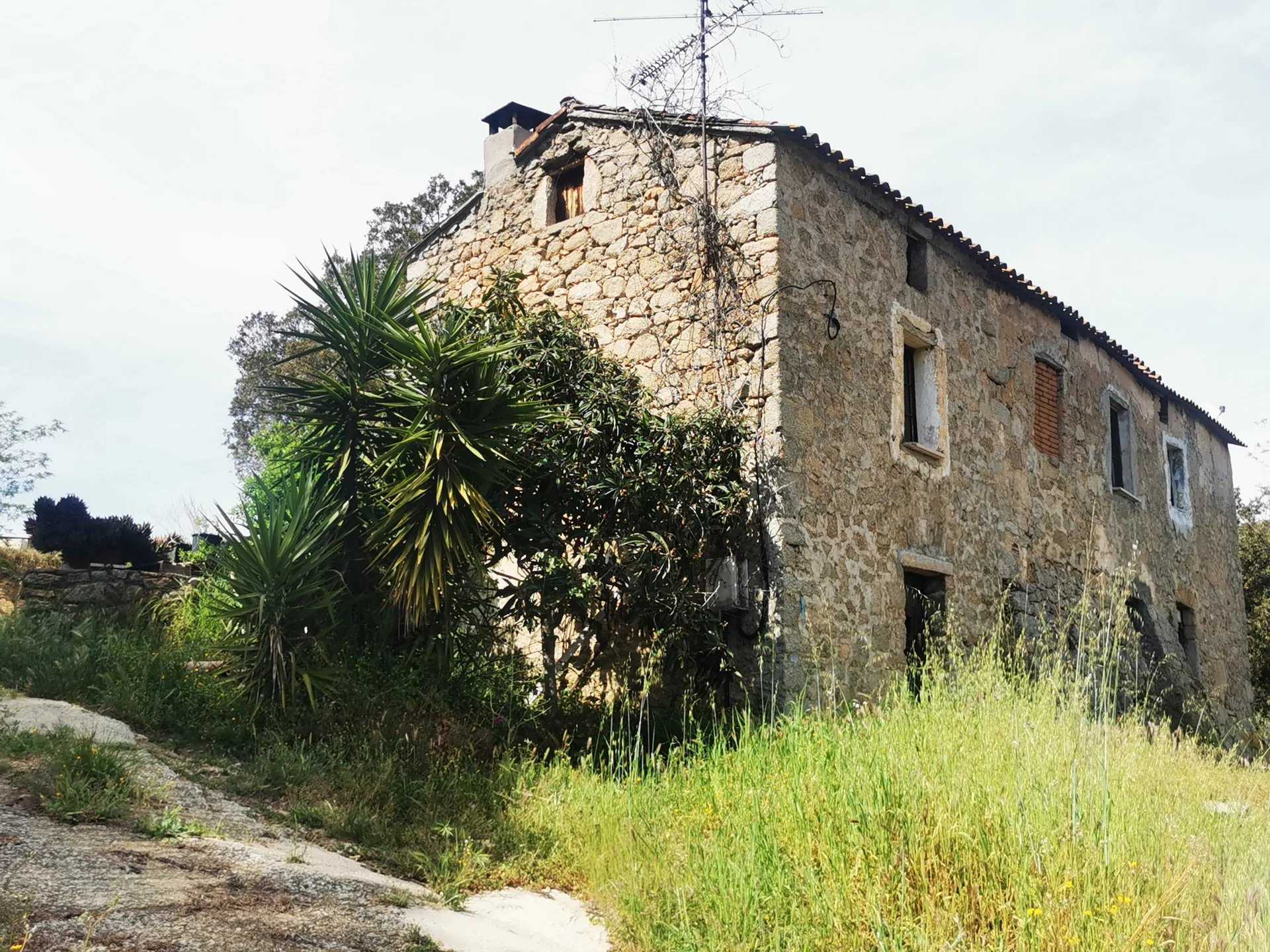 casa en Ajaccio, Corsica 11699435