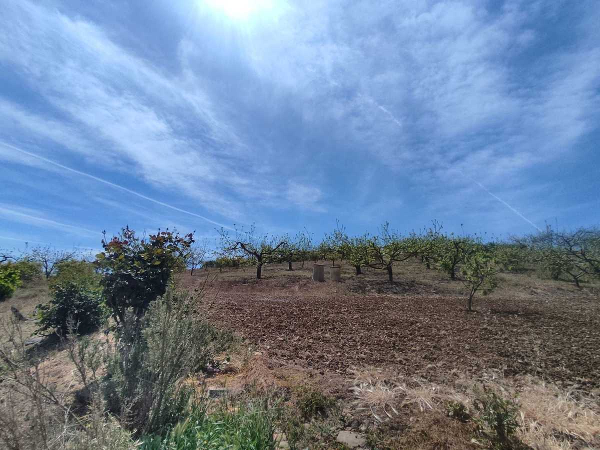 Γη σε Coín, Andalusia 11701160