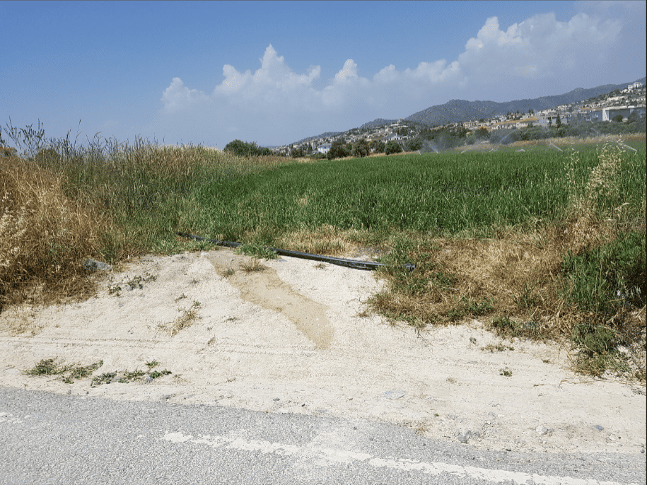 Terra no Kiti, Larnaca 11704814