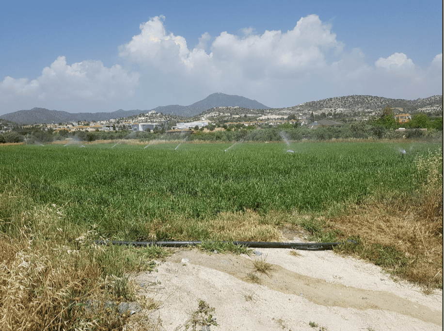 Tanah di Kiti, Larnaca 11704814