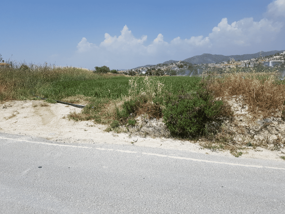 Land im Kiti, Larnaka 11704814