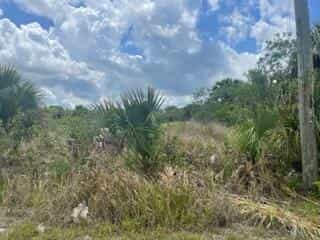 Land im Palm Bay, Florida 11705905