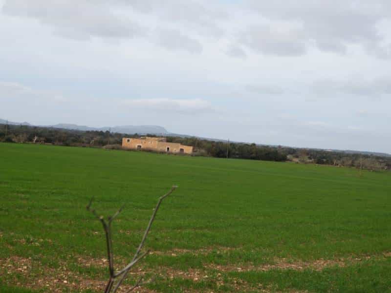 Land in Villafranca de Bonany, Balearic Islands 11707198