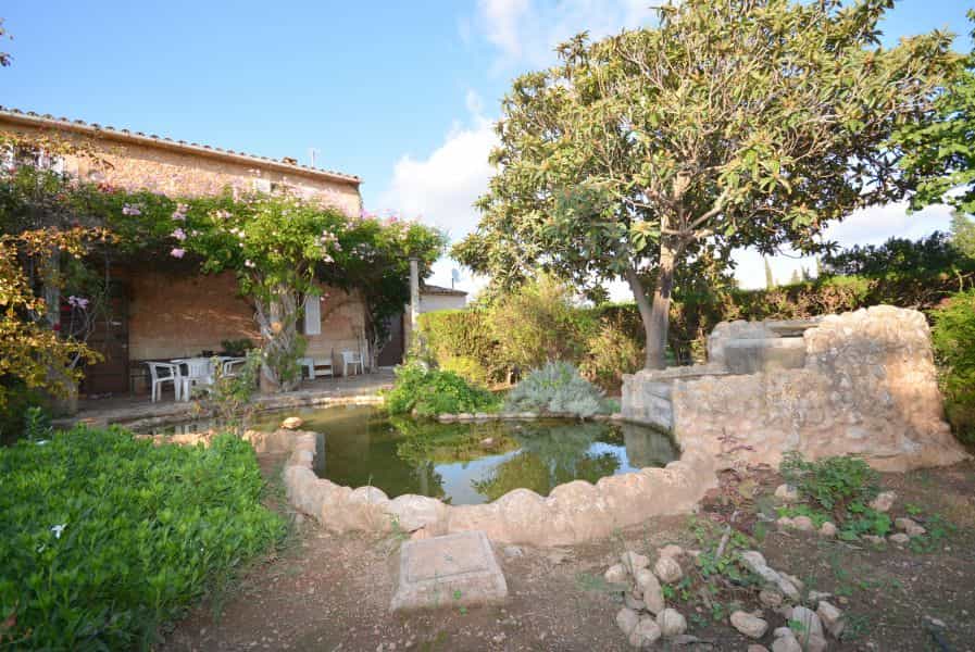 Dom w Marratxí, Illes Balears 11707201