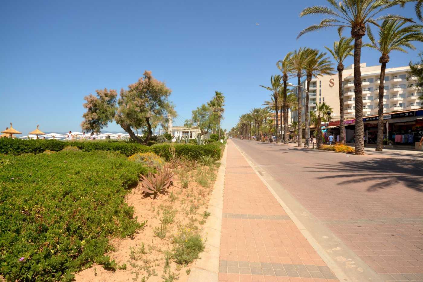 अन्य में Palma, Illes Balears 11707238