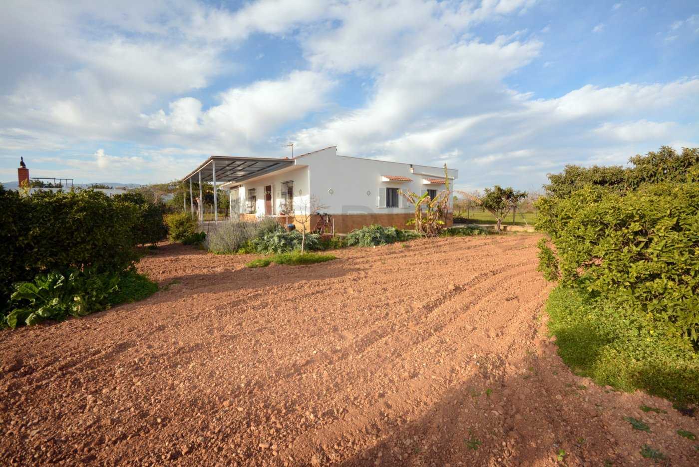بيت في Consell, Balearic Islands 11707253