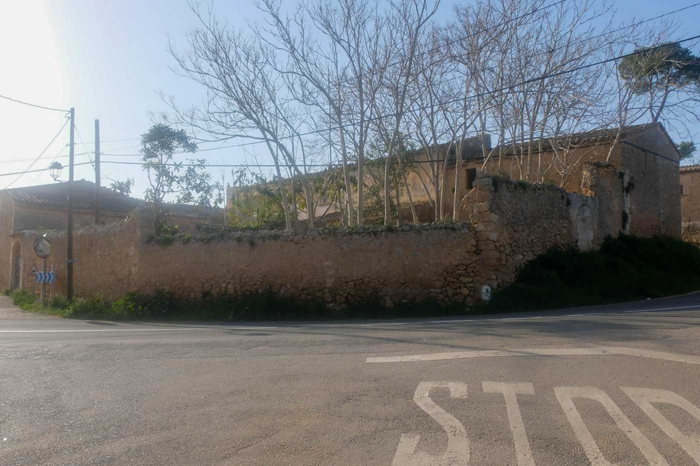 Dom w Sancellasa, Baleary 11707259