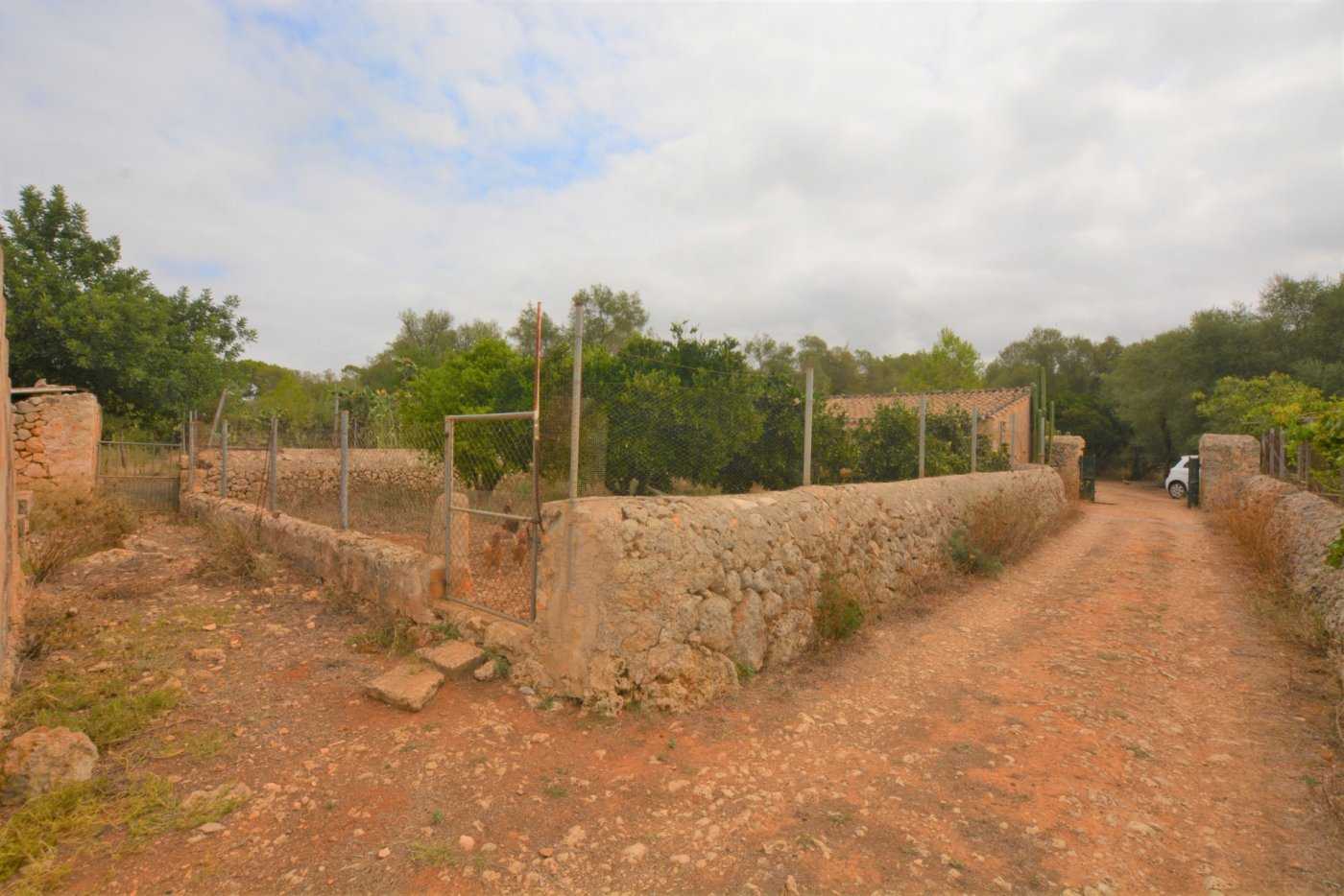 House in , Illes Balears 11707267