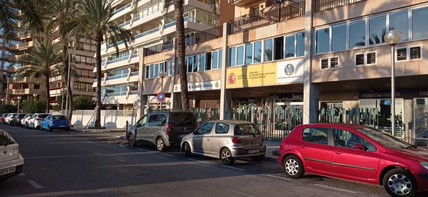 Minorista en Palma, Illes Balears 11707284