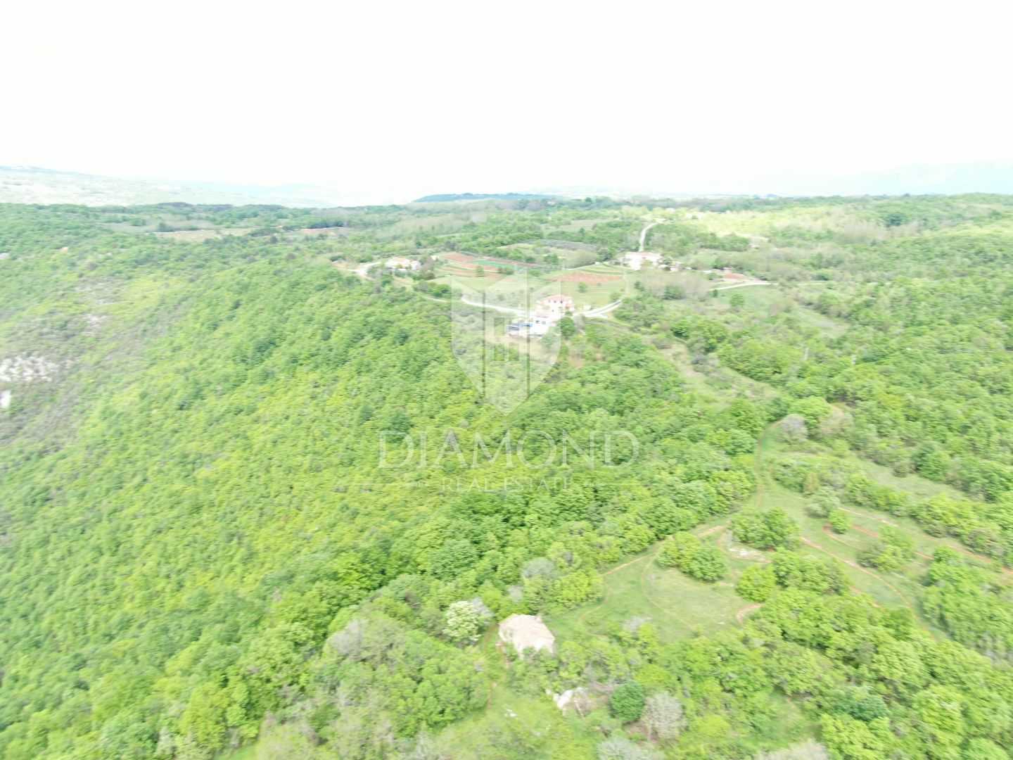 Land in Labin, Istria County 11708337