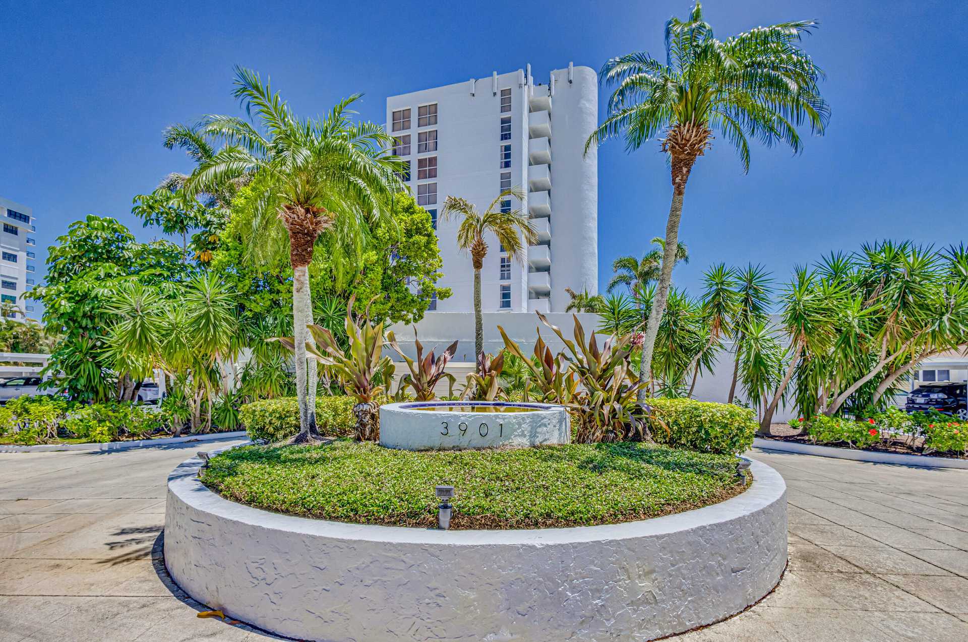 Huis in palmboom strand, Florida 11708473