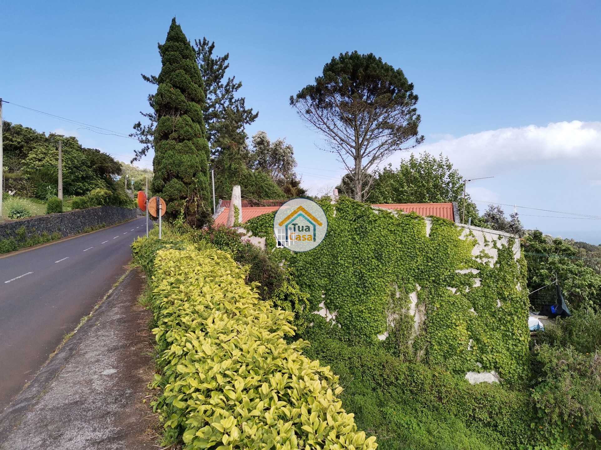 House in Calheta, Azores 11709609
