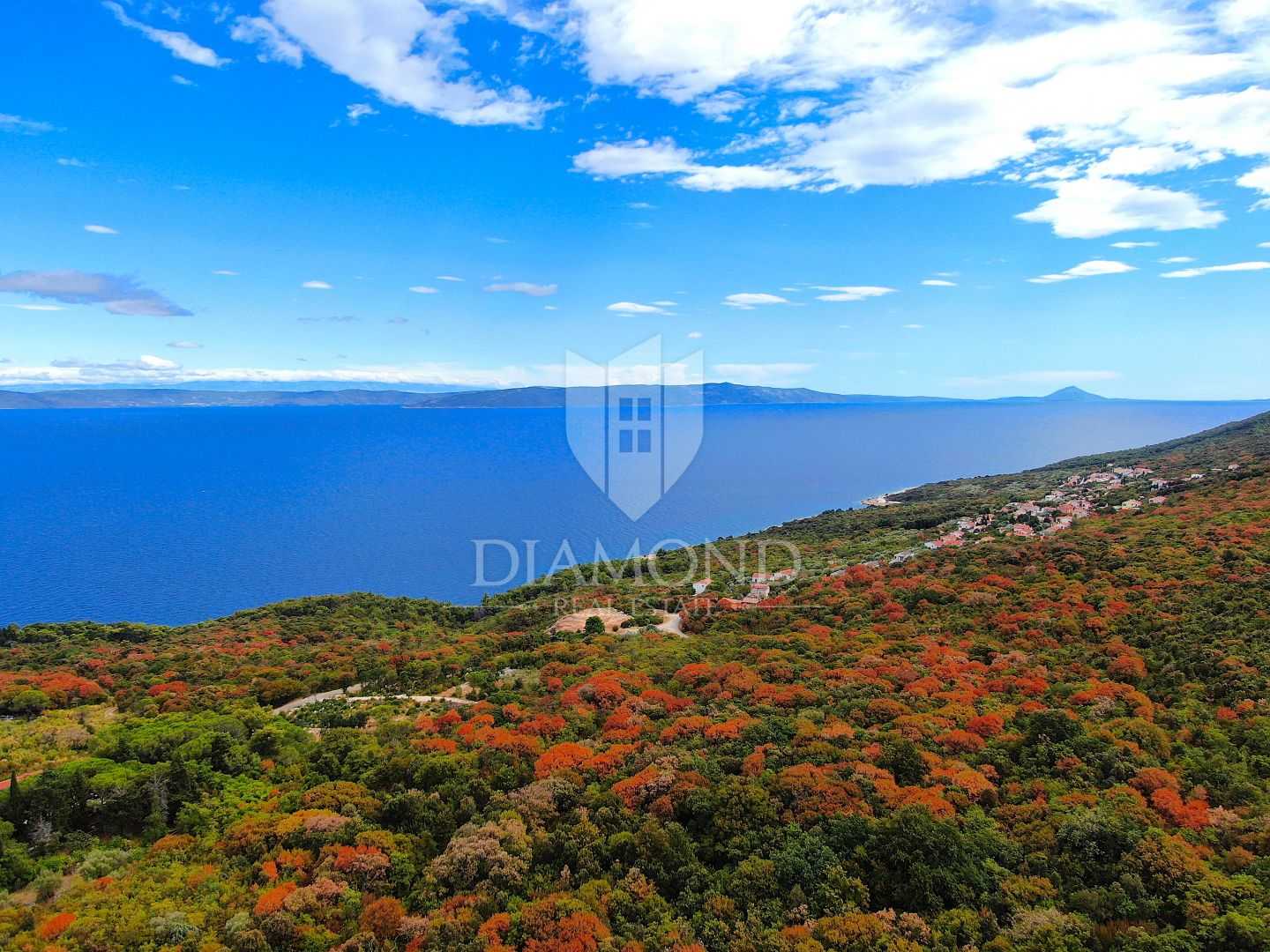 Land in Labin, Istria County 11711596
