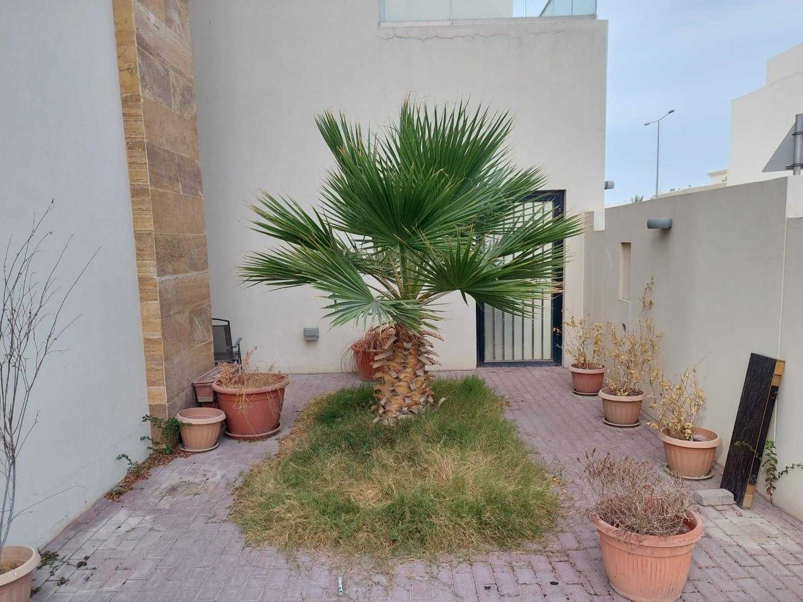 Haus im Doha, Al Rayyan Municipality 11711957