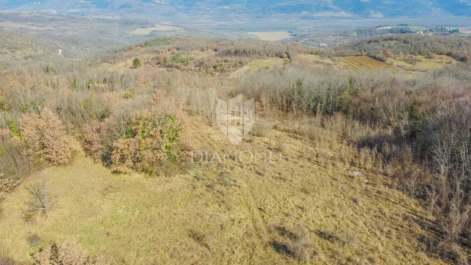 Γη σε Motovun, Istarska Zupanija 11712815