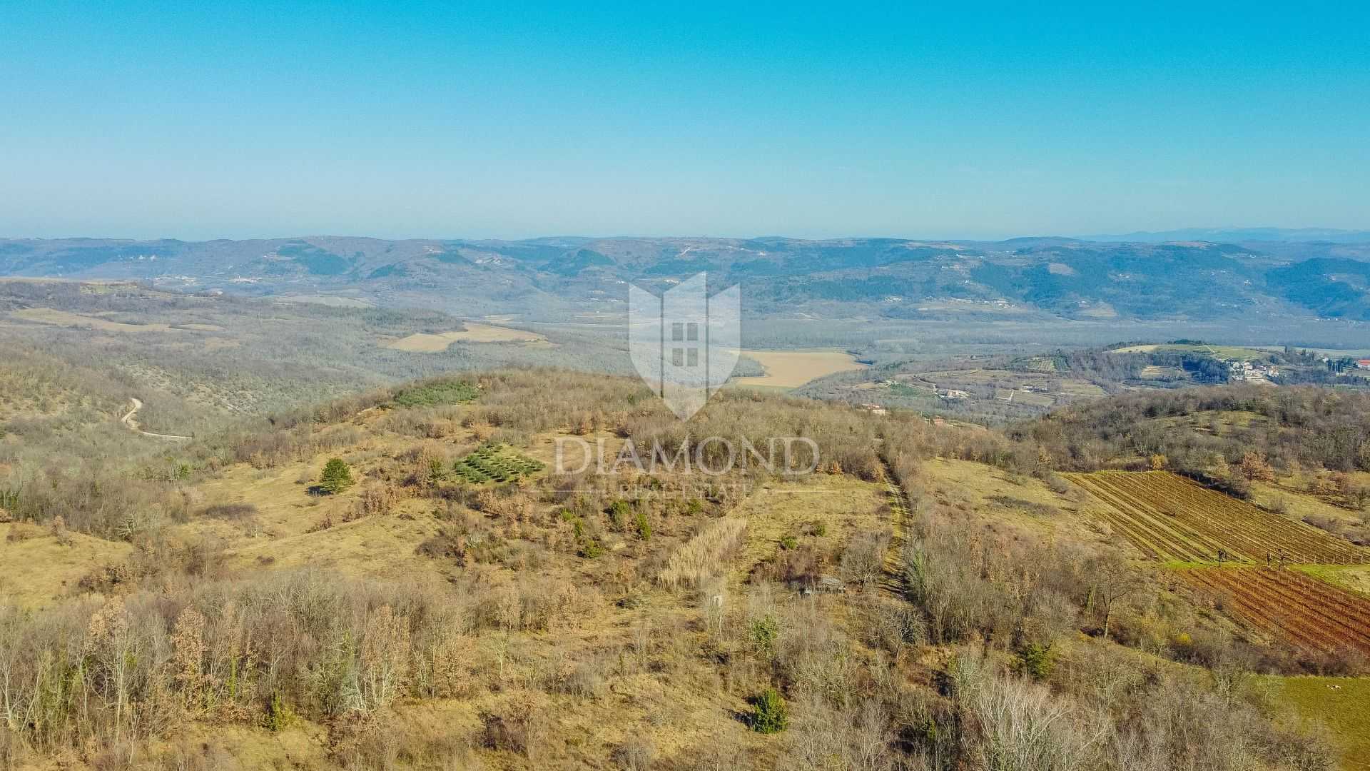 Land in Motovun, Istria County 11712815