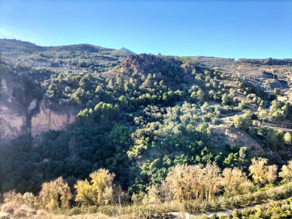 Land in Niguelas, Andalusië 11713021