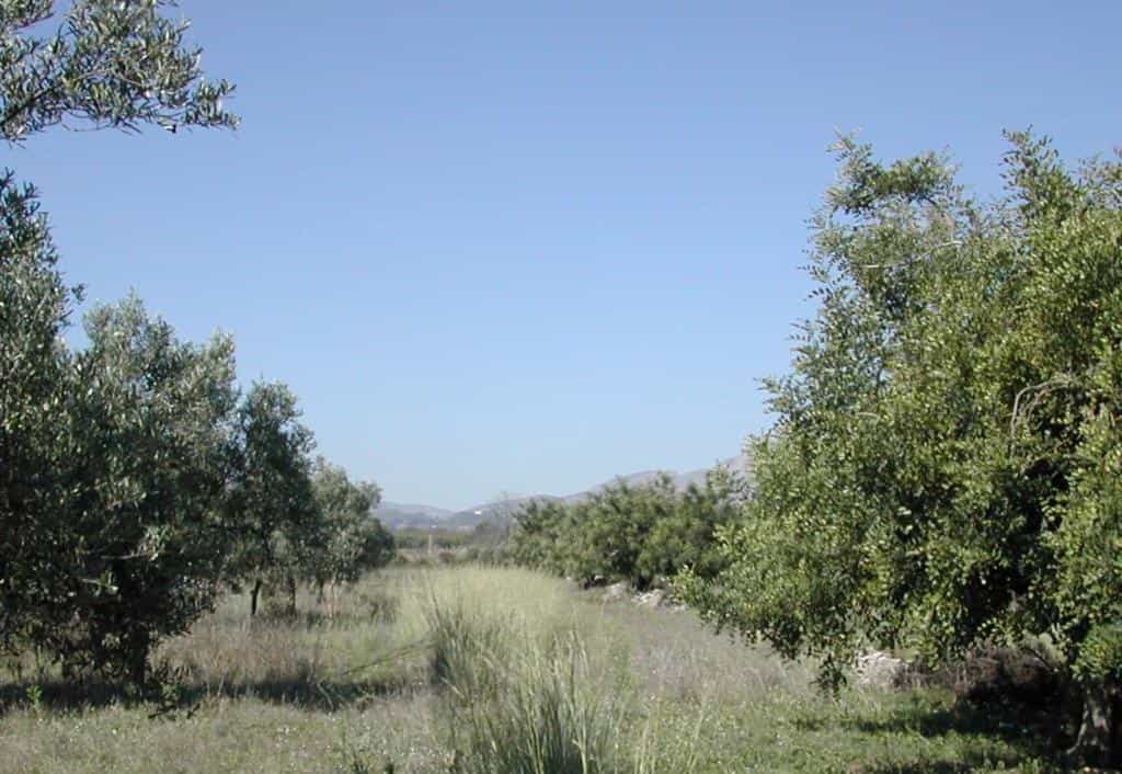 Land in Xaló, Valencian Community 11714323