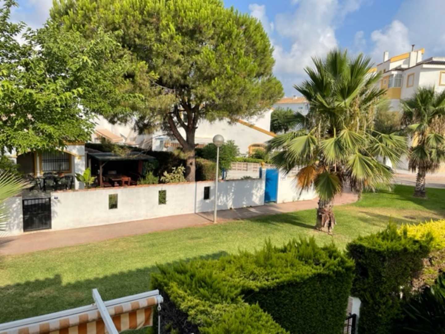 House in Oliva, Valencian Community 11714400