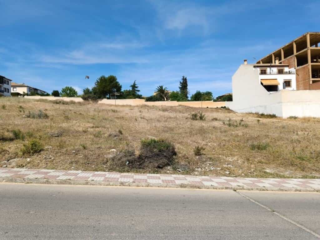 Land in Mancha Real, Andalusia 11714441