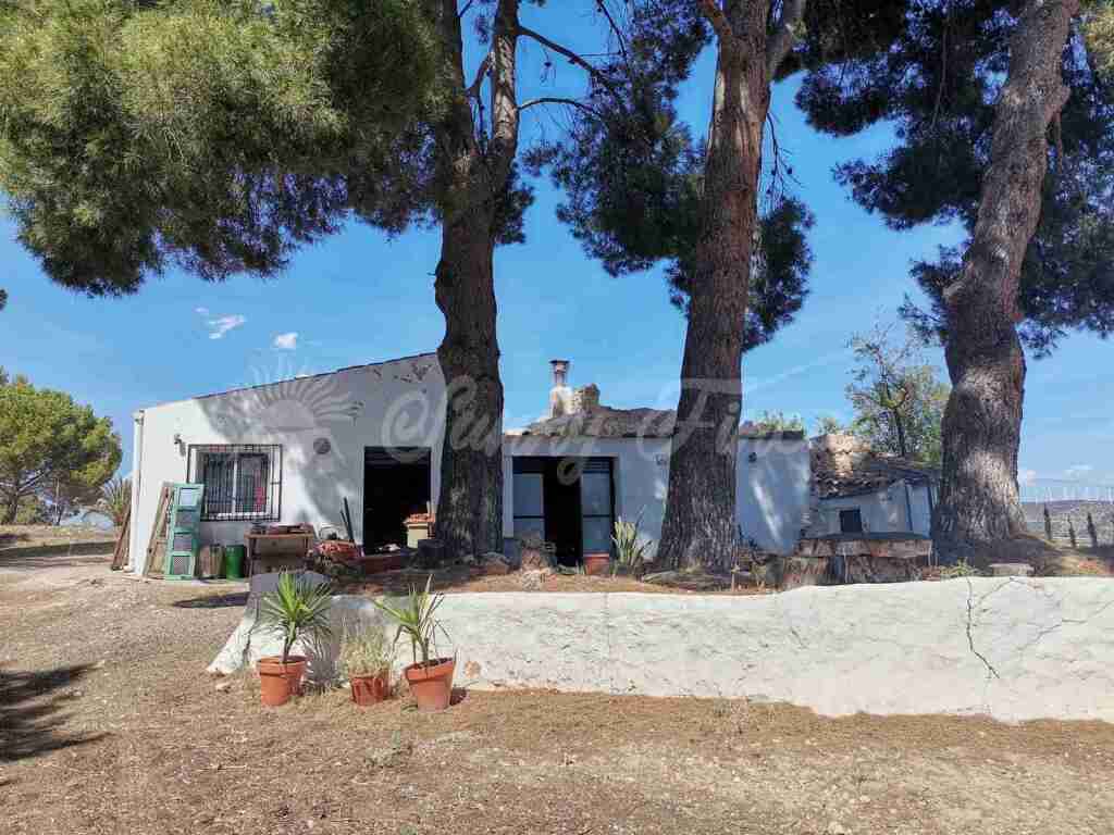 House in Yecla, Murcia 11714456