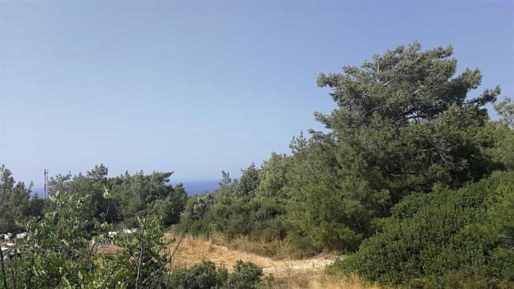 Land in Polis, Pafos 11715092