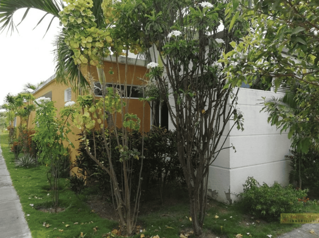 House in , Tolima 11715841