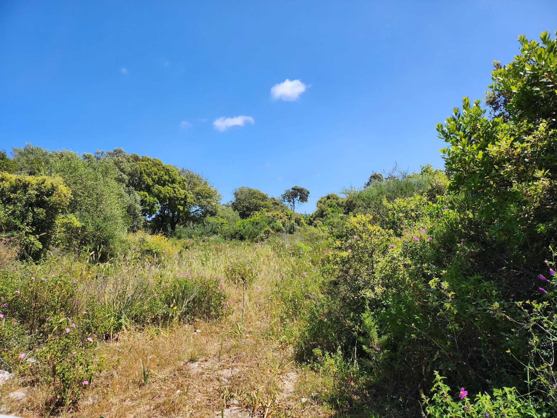 Tanah dalam Bonifacio, Corsica 11716837