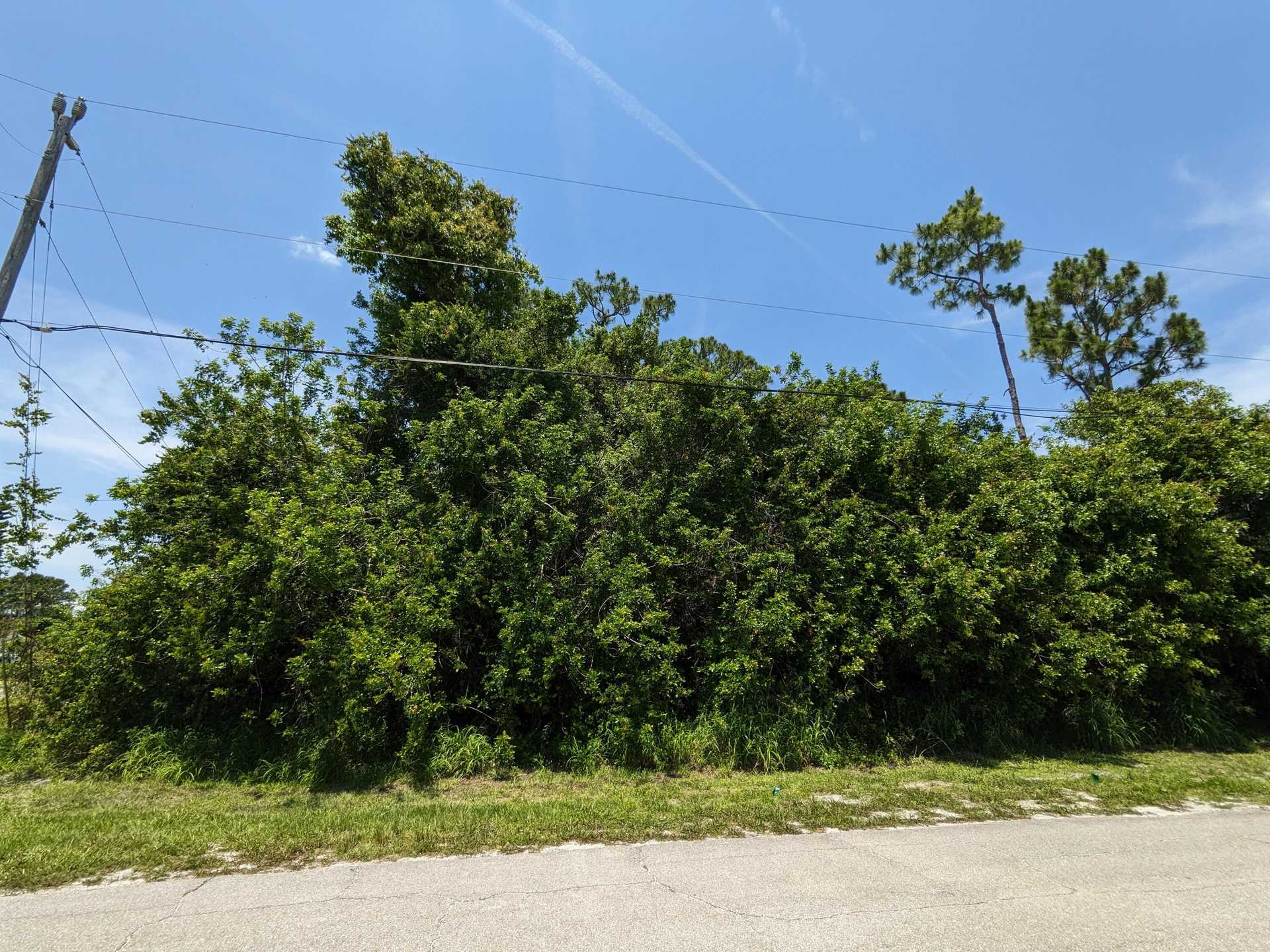 Land in Haven St. Lucie, Florida 11717837