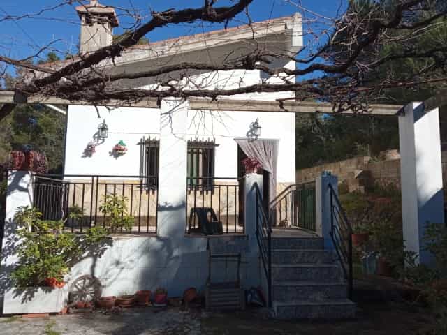 Hus i Valencia, Valencian Community 11723040