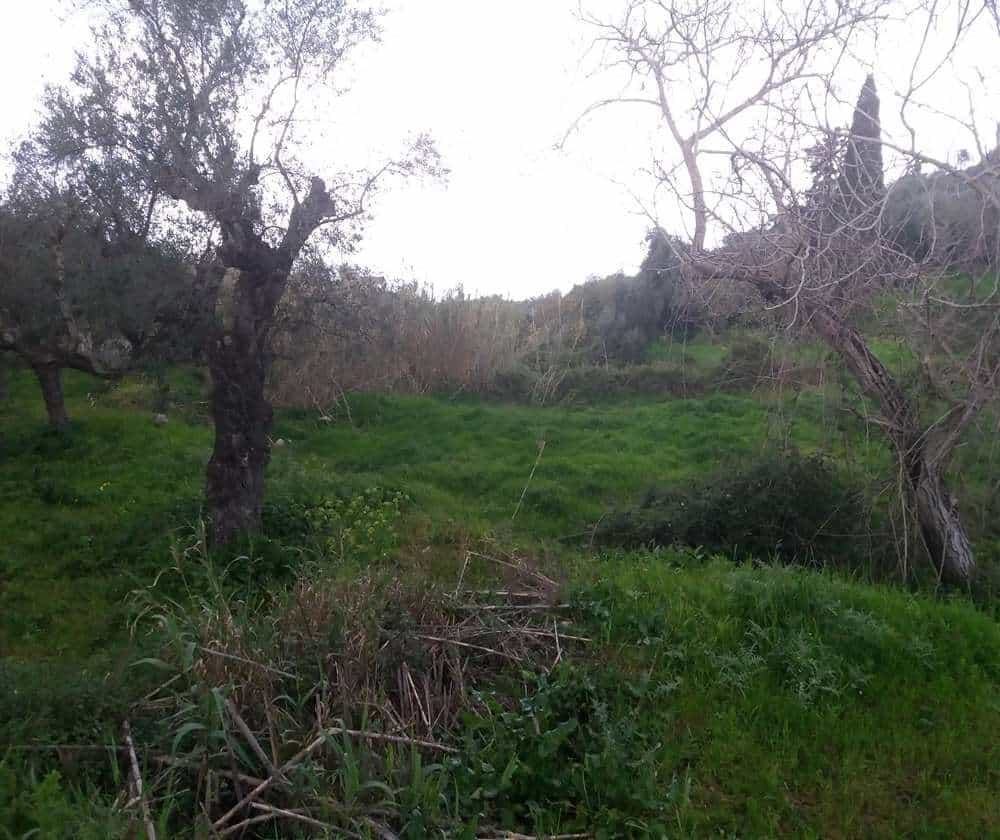 Land in Gaitani, Ionia Nisia 11723205
