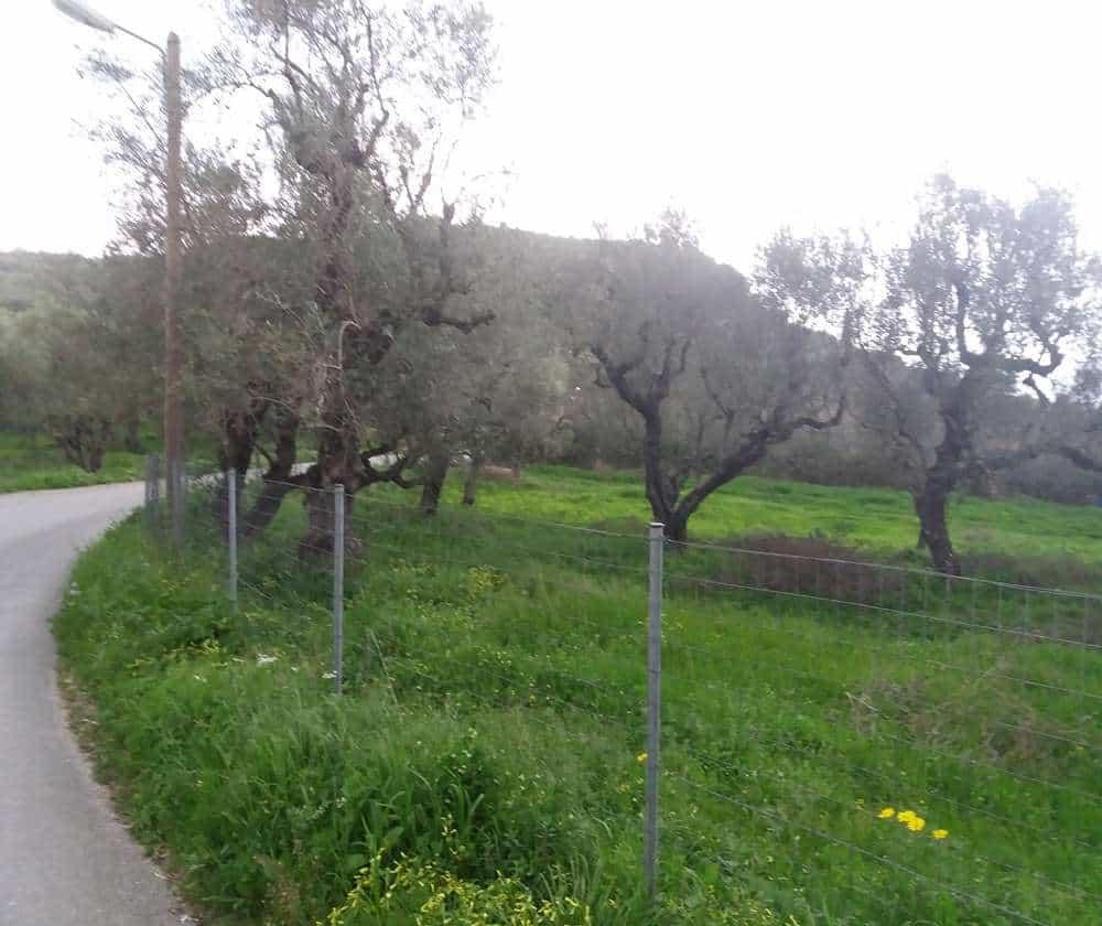 Land in Gaitani, Ionia Nisia 11723439