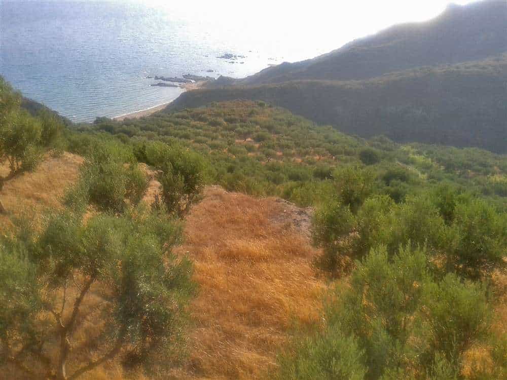 Land in Gaitani, Ionia Nisia 11723482