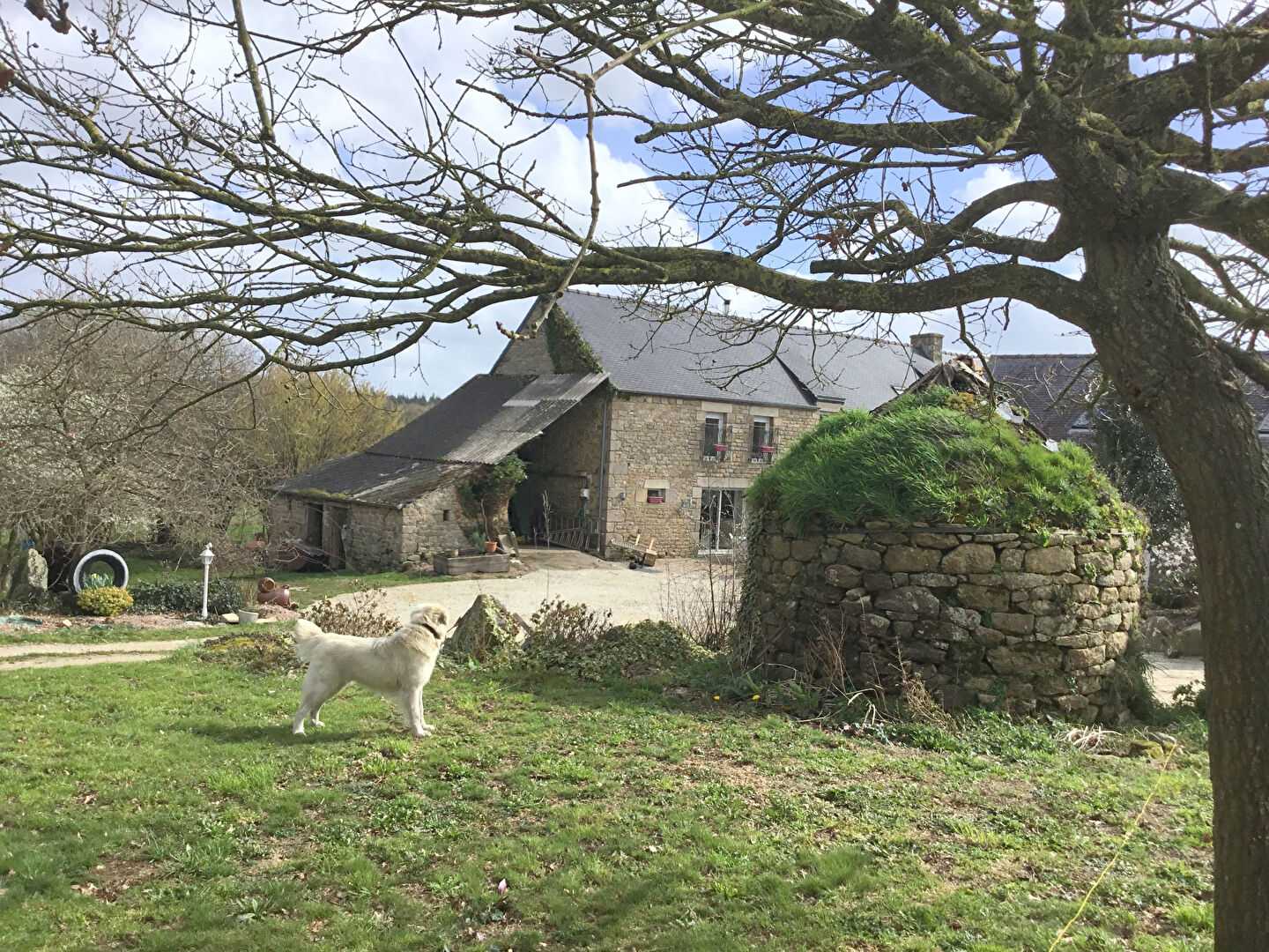 House in Plélan-le-Petit, Brittany 11723486
