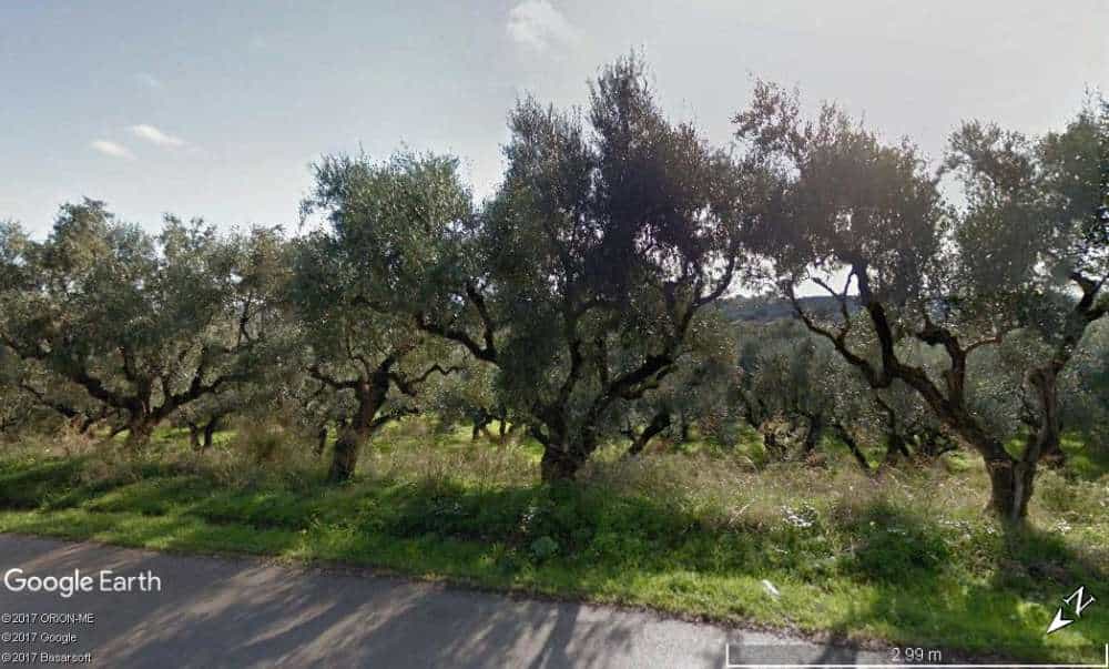 Land in Gaitani, Ionia Nisia 11723558